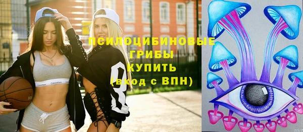 СК Белокуриха