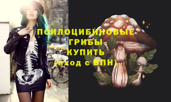 СК Белокуриха