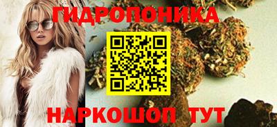 индика Коммунар