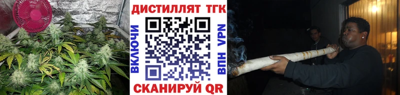 blacksprut ССЫЛКА  продажа наркотиков  Славгород  Дистиллят ТГК Wax 
