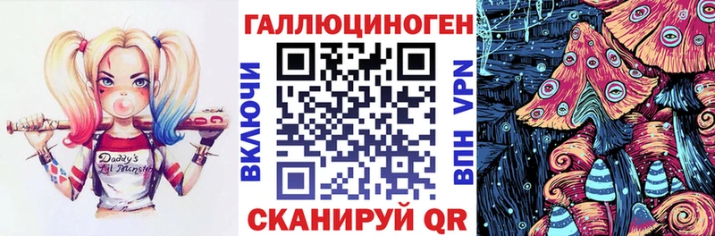 наркотики  omg зеркало  Псилоцибиновые грибы Magic Shrooms  Славгород 