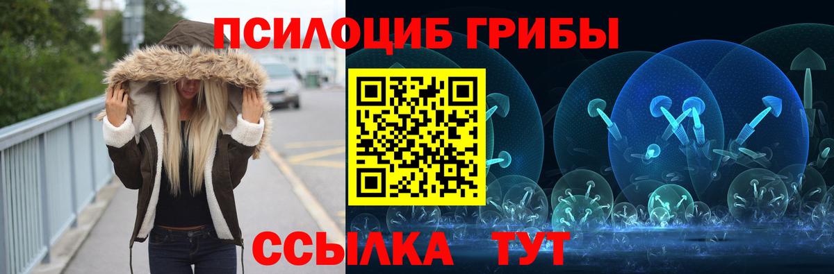 Славгород  Псилоцибиновые грибы Cubensis  Вход с VPN 