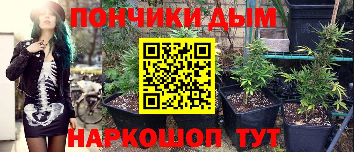 Конопля SATIVA & INDICA  Шишки марихуана MAZAR  Вход с VPN  Каннабис конопля  Бошки Шишки индика  Славгород 